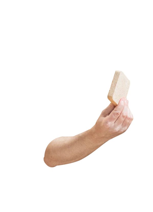 ETH Zurich Foundation, Grown in the creative workshop