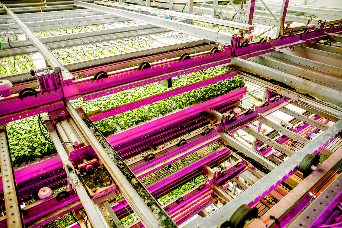 ETH Zurich Foundation, Calling all food innovators and agripreneurs!