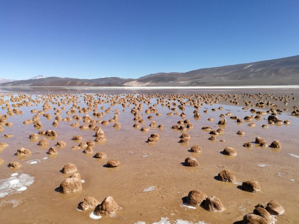 ETH Zürich Foundation, Drei neue Forschungsschwerpunkte für die ETH Zürich